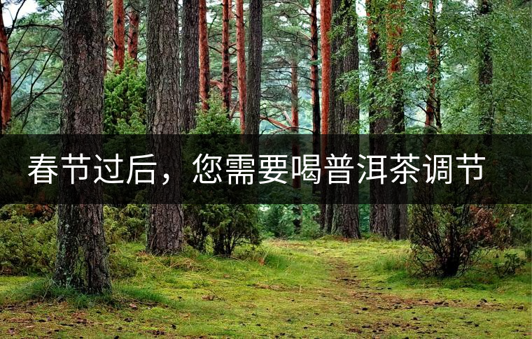 春節(jié)過后，您需要喝普洱茶調節(jié)身體