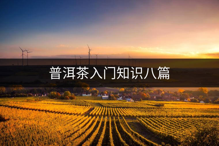 普洱茶入門知識(shí)八篇 普洱茶入門知識(shí)八篇