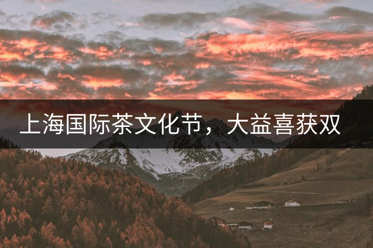 上海國(guó)際茶文化節(jié)，大益喜獲雙獎(jiǎng)
