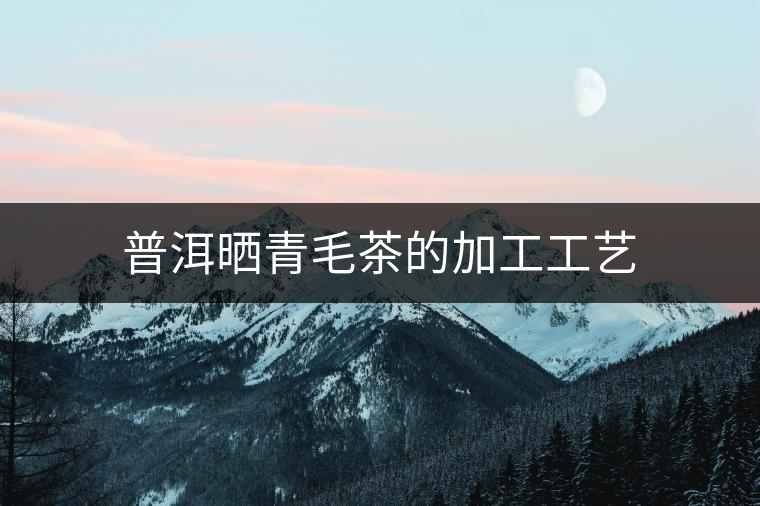 普洱曬青毛茶的加工工藝