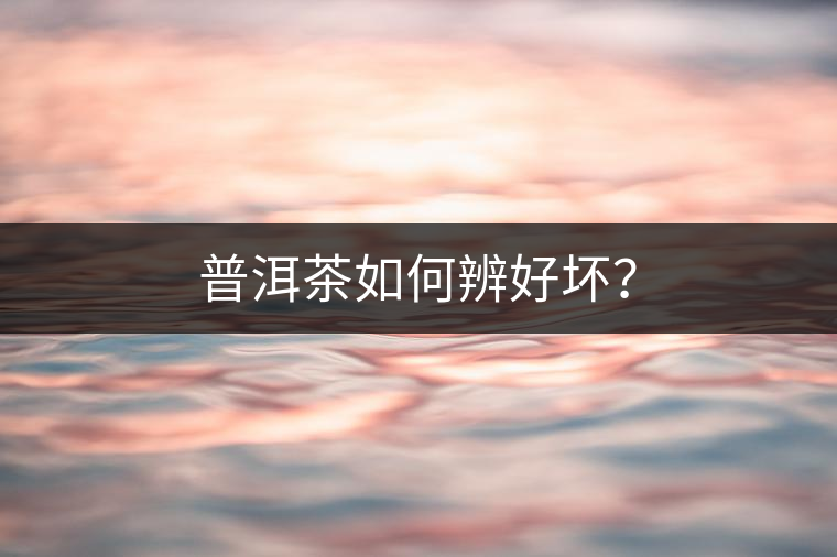 普洱茶如何辨好壞? 普洱茶如何辨好壞?