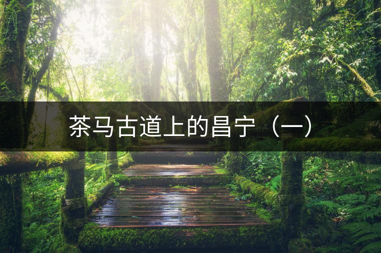 茶馬古道上的昌寧(一) 茶馬古道上的昌寧(一)