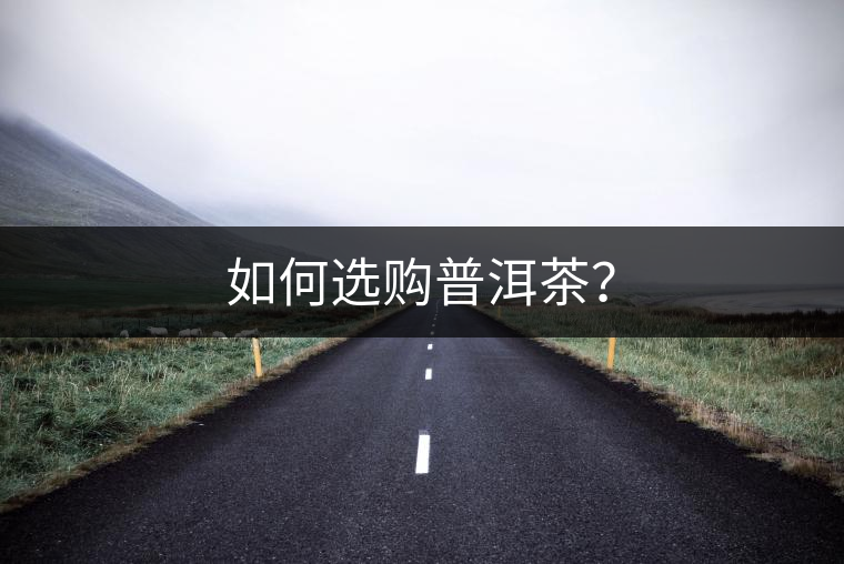 如何選購普洱茶？