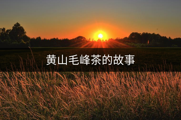 黃山毛峰茶的故事 黃山毛峰茶的故事