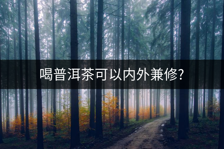 喝普洱茶可以?xún)?nèi)外兼修?