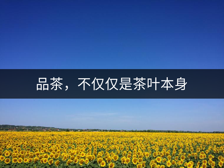 品茶，不僅僅是茶葉本身