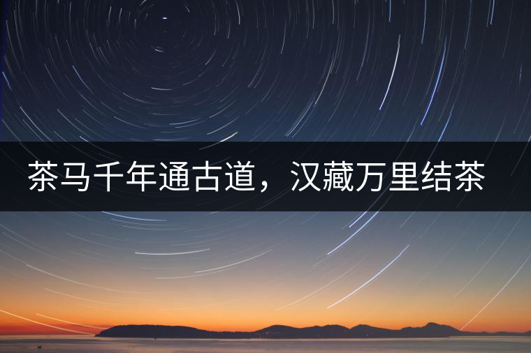 茶馬千年通古道，漢藏萬里結(jié)茶緣