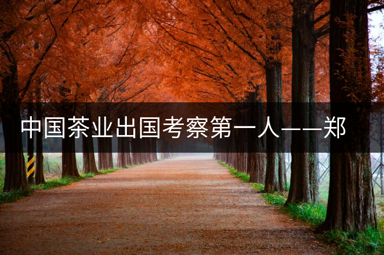 中國(guó)茶業(yè)出國(guó)考察第一人——鄭世璜 中國(guó)茶業(yè)出國(guó)考察第一人——鄭世璜