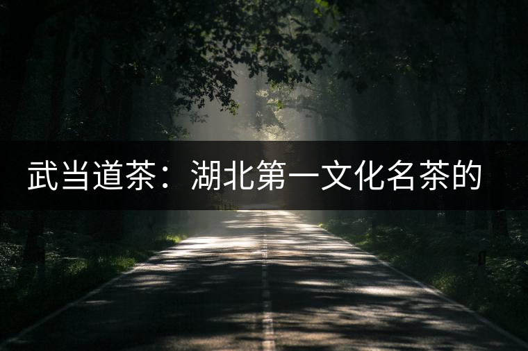 武當(dāng)?shù)啦瑁汉钡谝晃幕璧镊攘? alt=