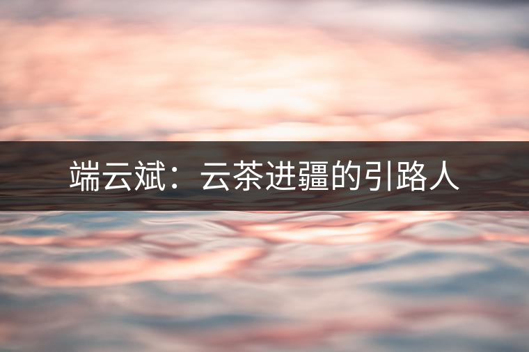端云斌:云茶進疆的引路人 端云斌:云茶進疆的引路人