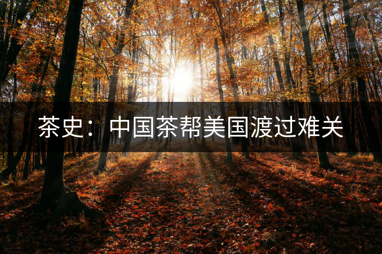 茶史:中國茶幫美國渡過難關 茶史:中國茶幫美國渡過難關