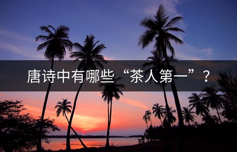 唐詩中有哪些“茶人第一”？