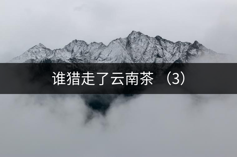 誰(shuí)獵走了云南茶 (3) 誰(shuí)獵走了云南茶 (3)