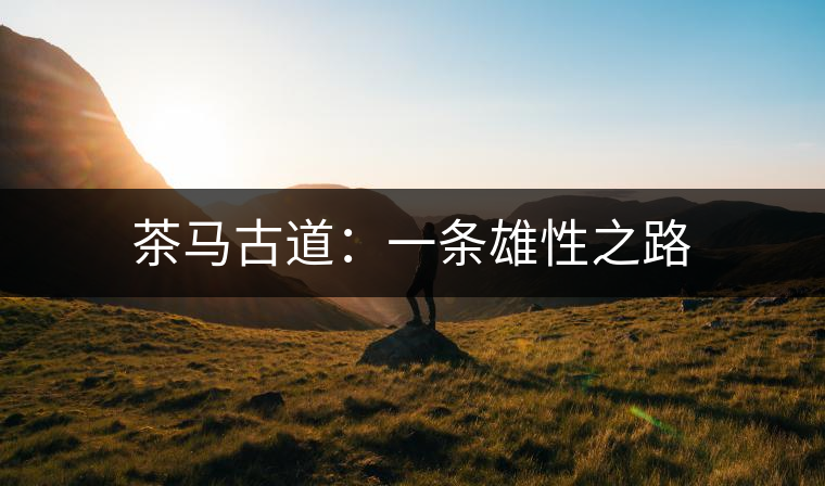 茶馬古道：一條雄性之路