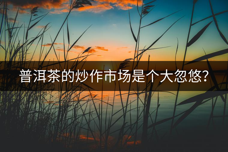 普洱茶的炒作市場是個大忽悠？