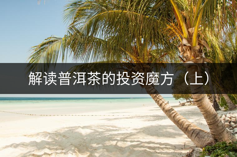 解讀普洱茶的投資魔方(上) 解讀普洱茶的投資魔方(上)