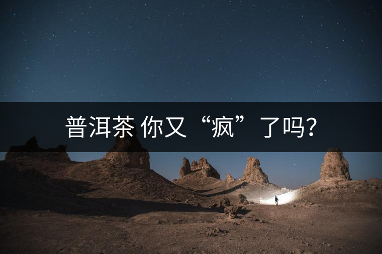 普洱茶 你又“瘋”了嗎？