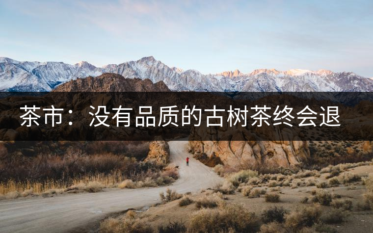 茶市:沒(méi)有品質(zhì)的古樹茶終會(huì)退出市場(chǎng) 茶市:沒(méi)有品質(zhì)的古樹茶終會(huì)退出市場(chǎng)