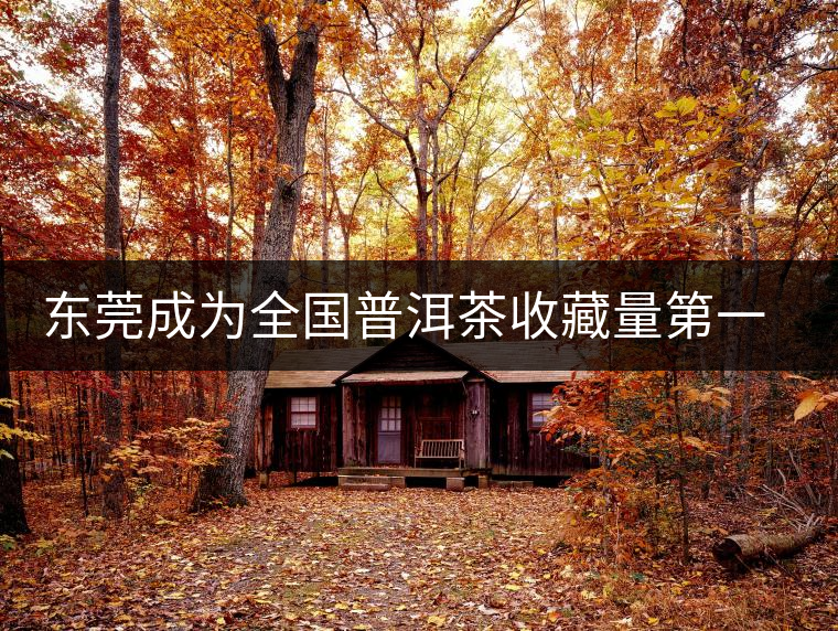 東莞成為全國(guó)普洱茶收藏量第一位的城市？