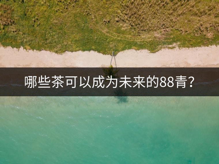 哪些茶可以成為未來(lái)的88青? 哪些茶可以成為未來(lái)的88青?