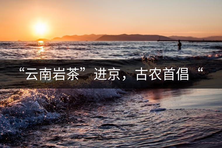 “云南巖茶”進京，古農(nóng)首倡“名茶+名企”戰(zhàn)略