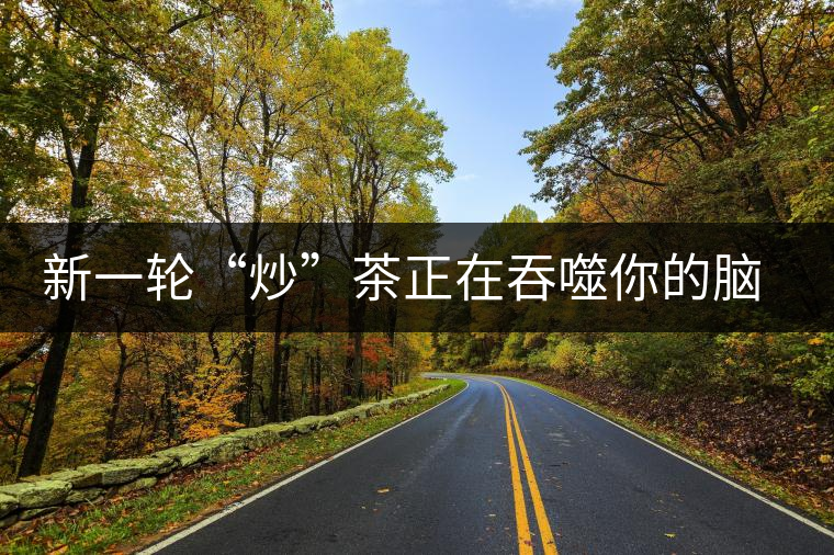 新一輪“炒”茶正在吞噬你的腦子，茶葉收藏不宜提倡