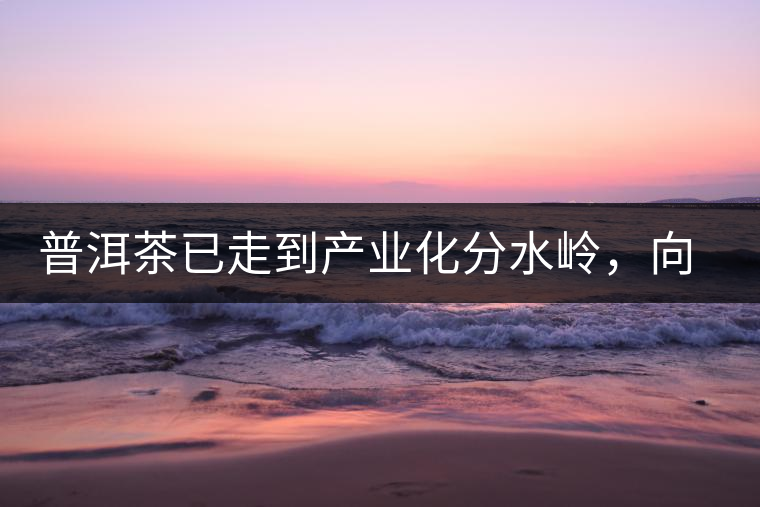 普洱茶已走到產(chǎn)業(yè)化分水嶺，向左還是向右？