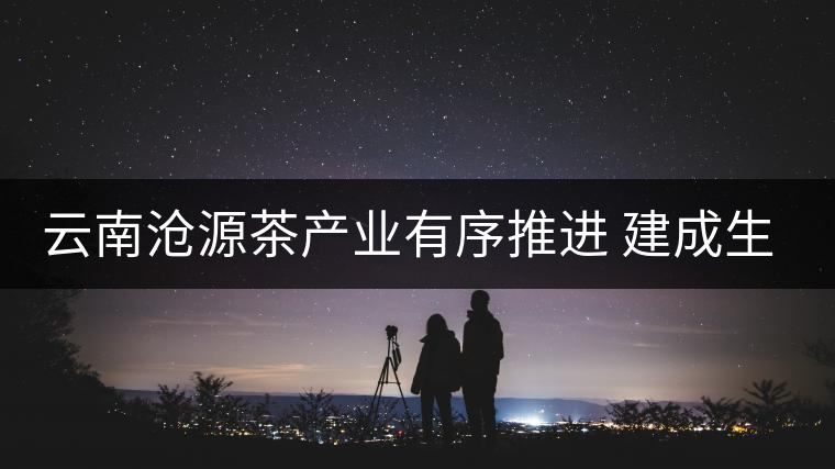 云南滄源茶產業(yè)有序推進 建成生態(tài)茶園近15萬畝