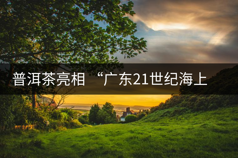 普洱茶亮相 “廣東21世紀(jì)海上絲綢之路國際博覽會(huì)”