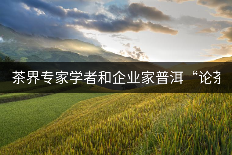 茶界專家學者和企業(yè)家普洱“論茶” 茶界專家學者和企業(yè)家普洱“論茶”