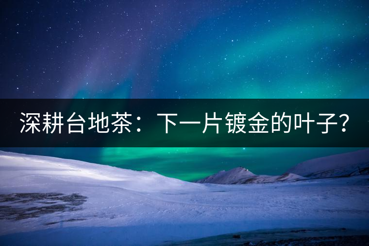 深耕臺地茶：下一片鍍金的葉子？