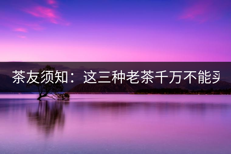 茶友須知：這三種老茶千萬不能買！