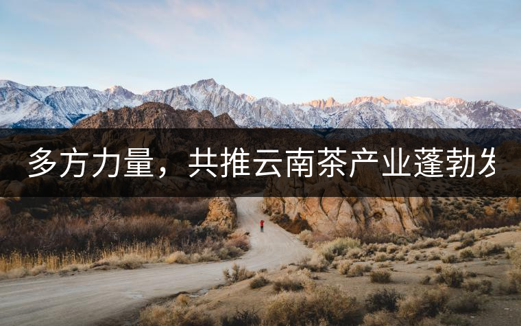 多方力量，共推云南茶產(chǎn)業(yè)蓬勃發(fā)展！