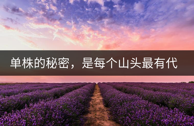 單株的秘密，是每個山頭最有代表性的味道？