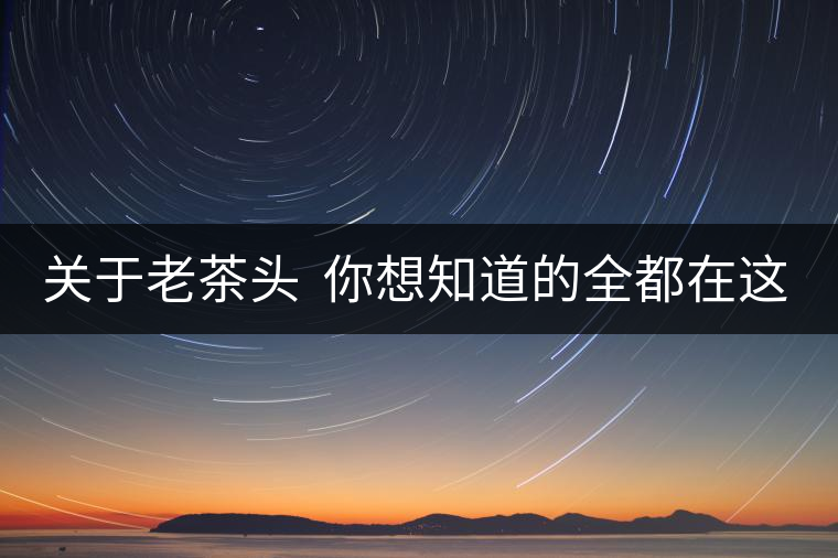 關于老茶頭  你想知道的全都在這兒啦！