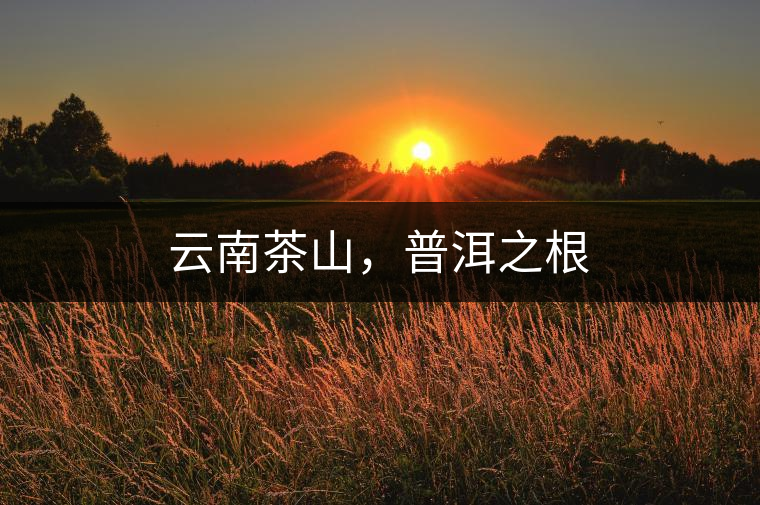 云南茶山，普洱之根