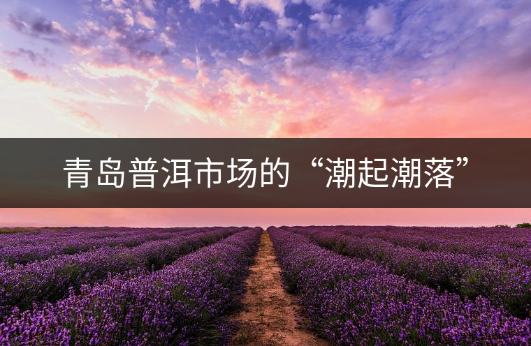 青島普洱市場(chǎng)的“潮起潮落” 青島普洱市場(chǎng)的“潮起潮落”
