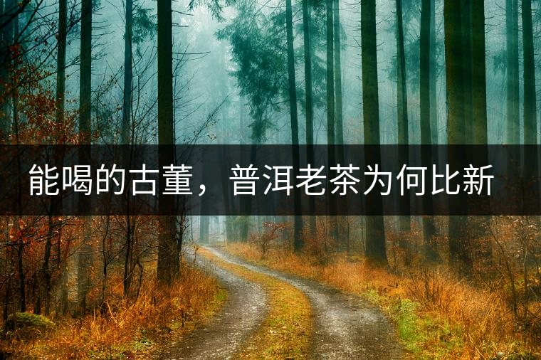 能喝的古董，普洱老茶為何比新茶更值錢？