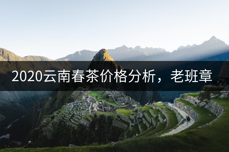 2020云南春茶價(jià)格分析，老班章依然將獨(dú)占鰲頭？