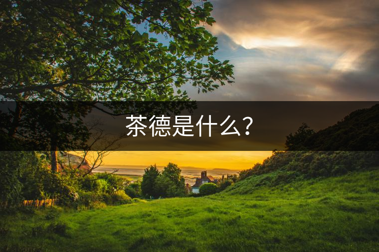 茶德是什么？
