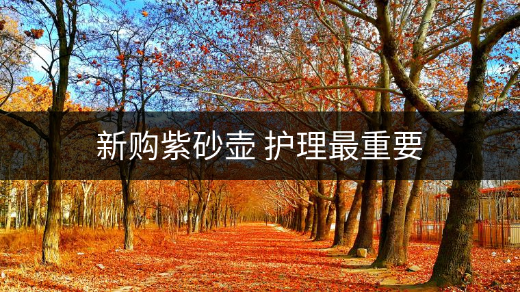 新購(gòu)紫砂壺 護(hù)理最重要 新購(gòu)紫砂壺 護(hù)理最重要