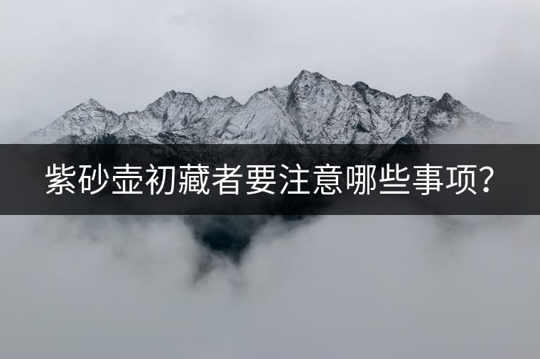 紫砂壺初藏者要注意哪些事項(xiàng)？