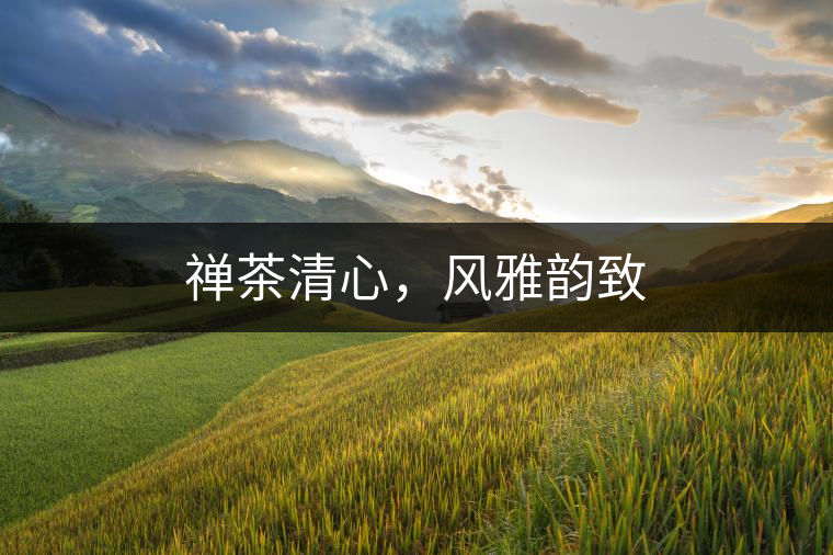 禪茶清心，風(fēng)雅韻致
