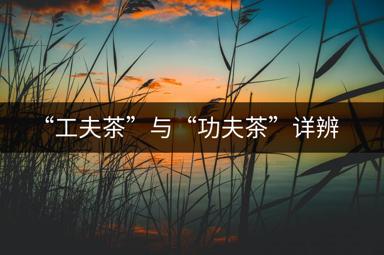 “工夫茶”與“功夫茶”詳辨