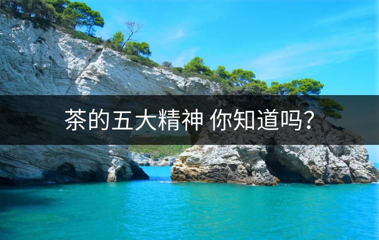 茶的五大精神 你知道嗎？