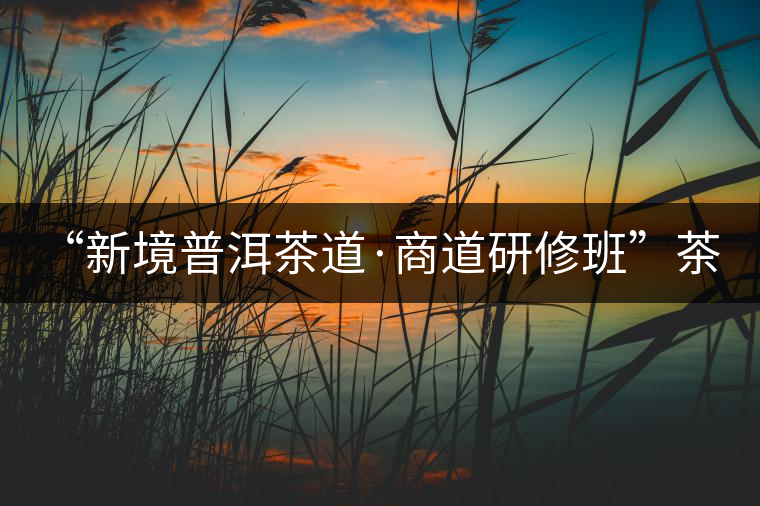 “新境普洱茶道·商道研修班”茶山考察--山中一棵樹(shù) 手里一杯茶 “新境普洱茶道·商道研修班”茶山考察--山中一棵樹(shù) 手里一杯茶