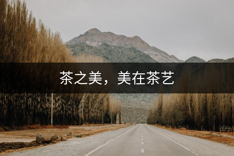 茶之美，美在茶藝