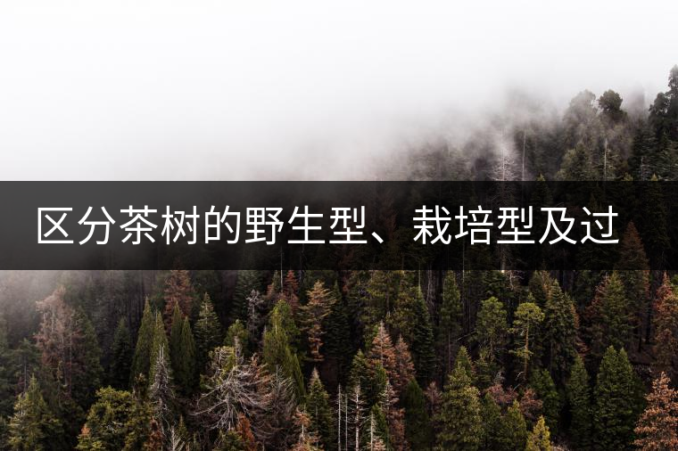 區(qū)分茶樹的野生型、栽培型及過渡型