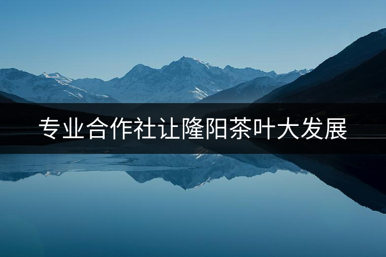 專業(yè)合作社讓隆陽(yáng)茶葉大發(fā)展 專業(yè)合作社讓隆陽(yáng)茶葉大發(fā)展