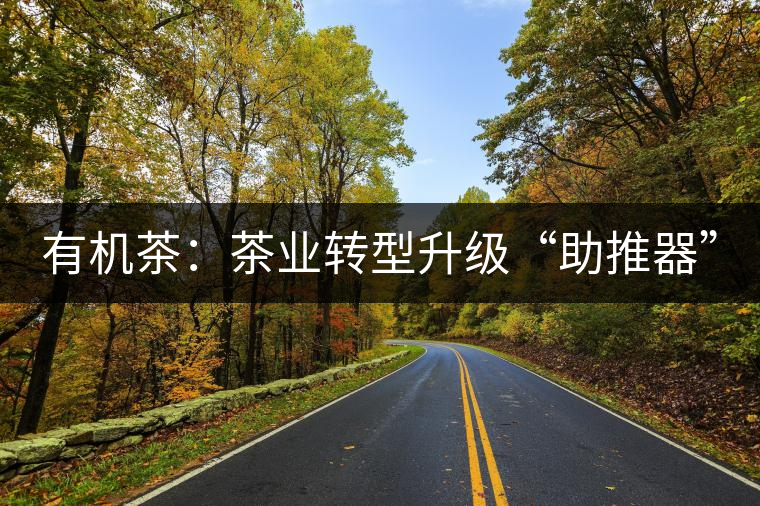 有機(jī)茶:茶業(yè)轉(zhuǎn)型升級“助推器” 有機(jī)茶:茶業(yè)轉(zhuǎn)型升級“助推器”